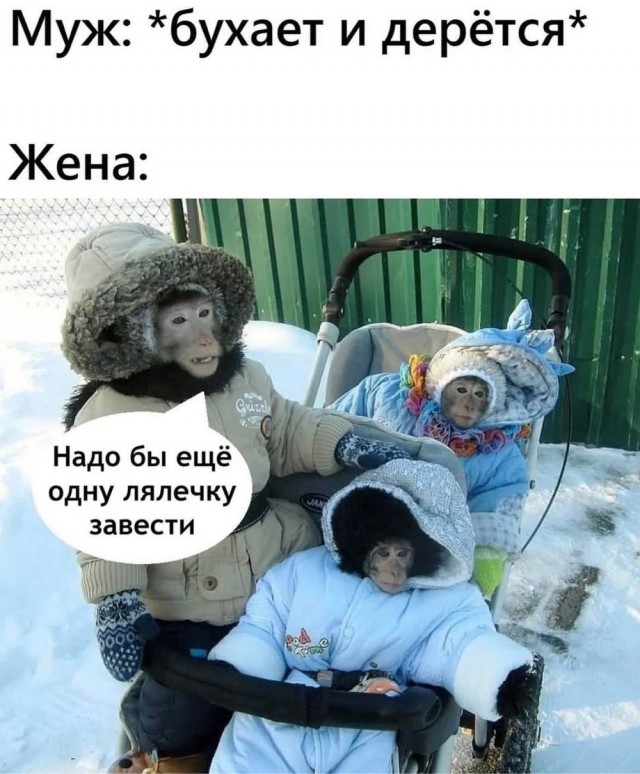 Немного картинок накануне выходных