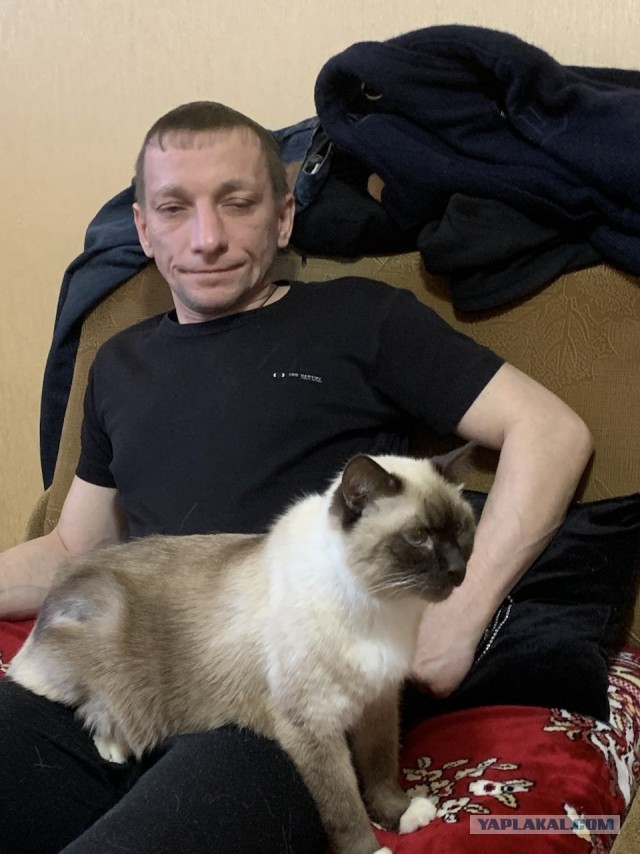 Котовторник . Как назвать бандита ?)
