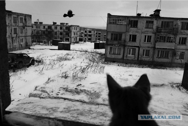 В Госдуме предложили перекрашивать хрущевки в позитивные цвета