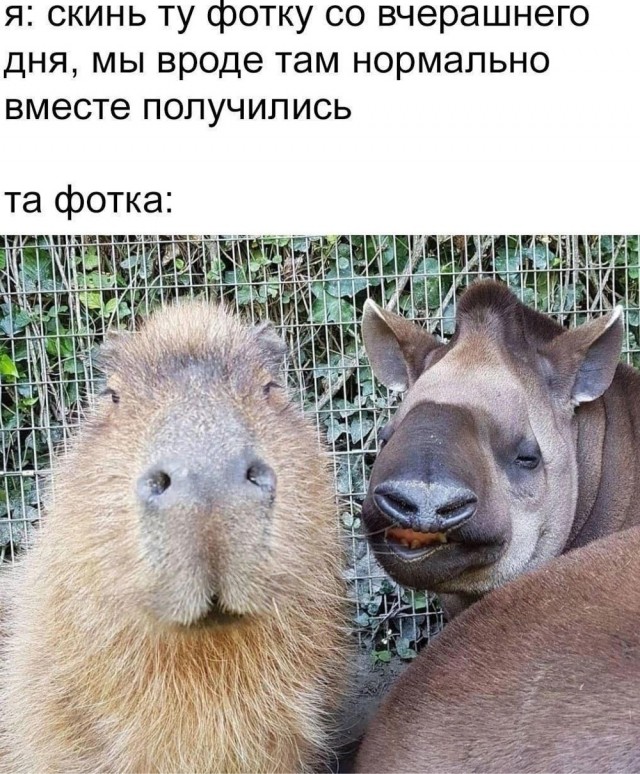 Еще только вторник …
