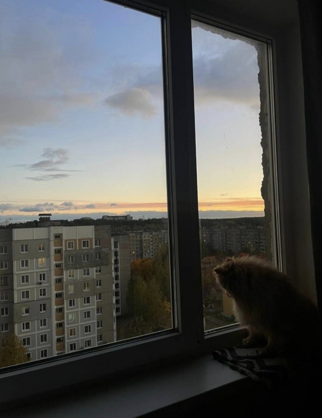 Собакочетверг