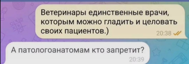 Веселое настроение в картинках (28.10.2025)