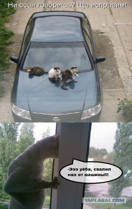 это разборка!