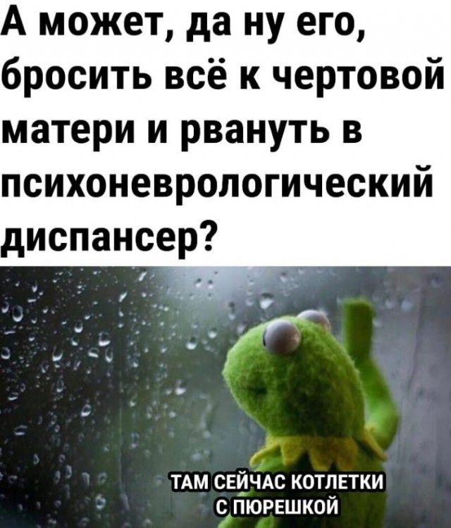 Картинки для деградации 152 (разной степени свежести)