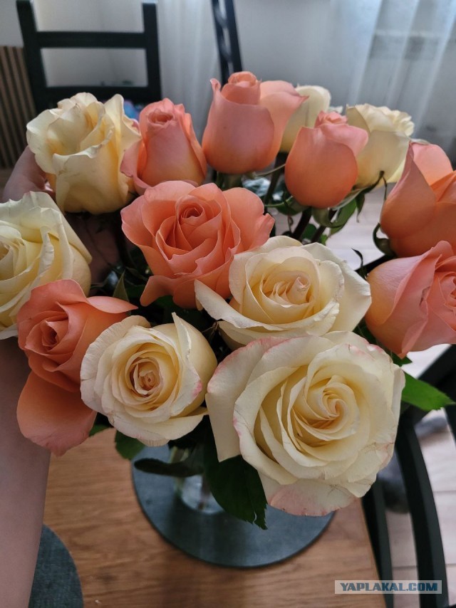 Я нагнул всех. Вообще не покупал цветы