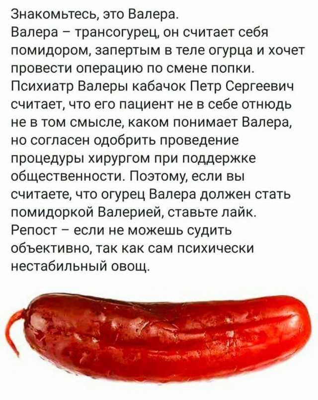 Картинки для деградации 167 (разной степени свежести)