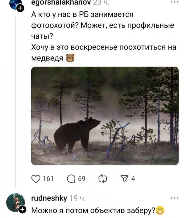 И снова о медведях