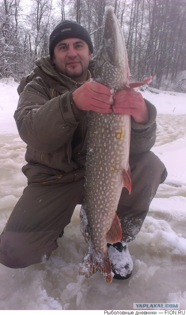 Лёд встал, господа!