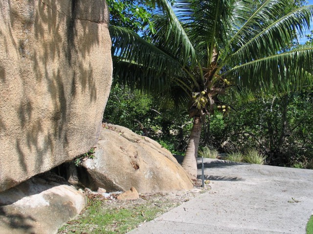 Как я съездил на Сейшелы