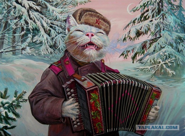 Апофеоз лицемерия Америки