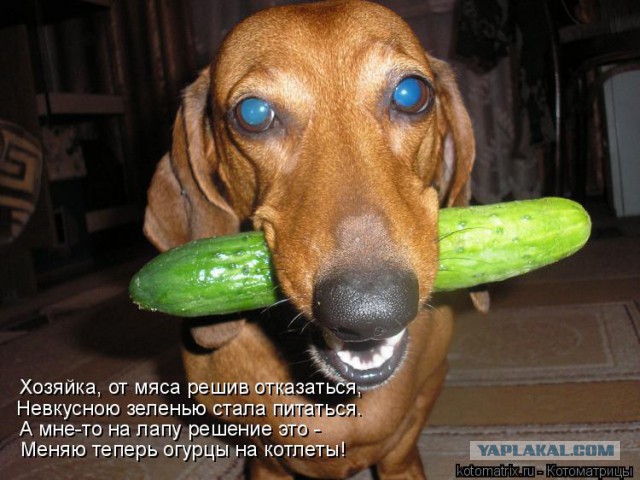 Чёрт, чёрт, чёрт!