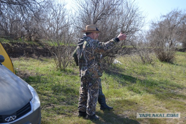 Рыбалка на воблу