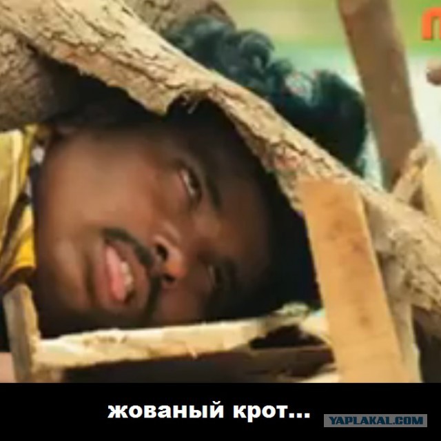 Очередной шедевр Боливуда!