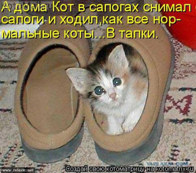 Немного картинок и демотиваторов