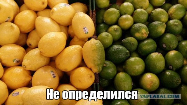 Подборка прикольных фото на среду