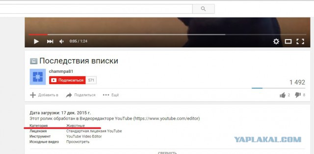 Безмозглая молодежь отдыхает