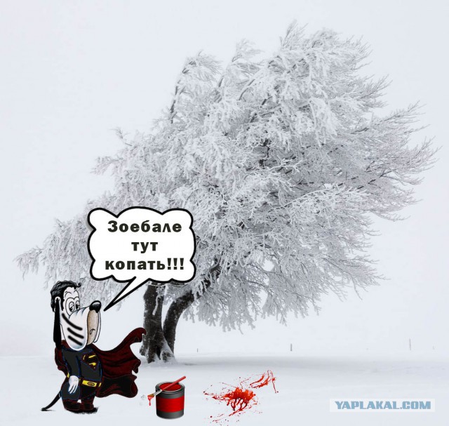 Исчезающая собака