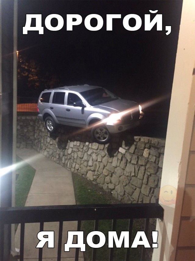 Картинки и приколы из сети