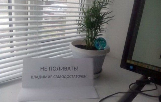 Записки из офисных будней