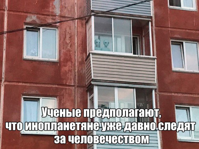 Смешные картинки