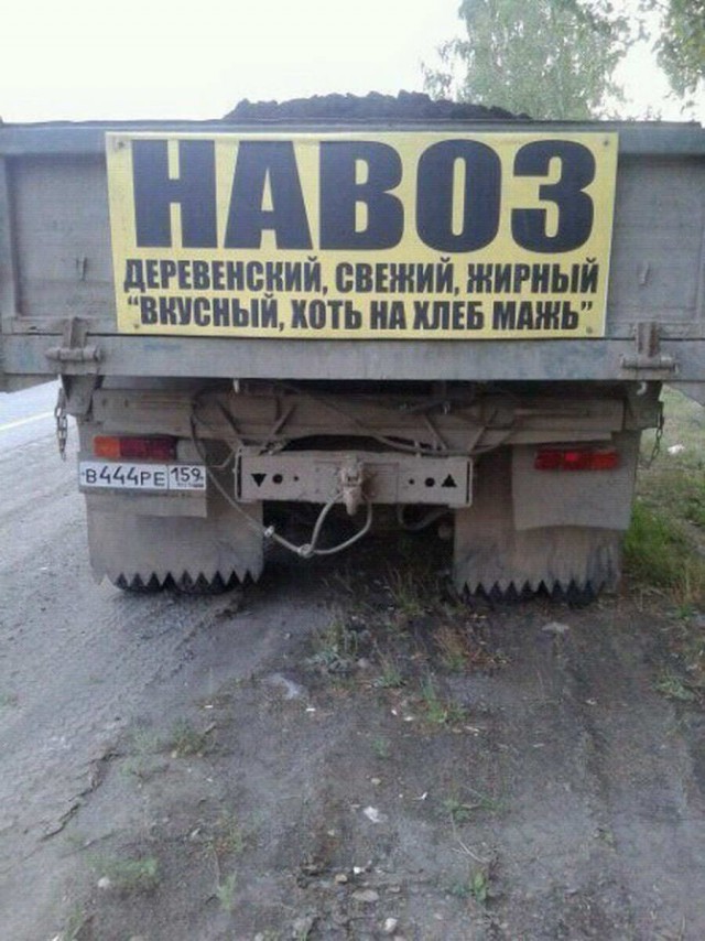150 картинки для поднятия настроения!