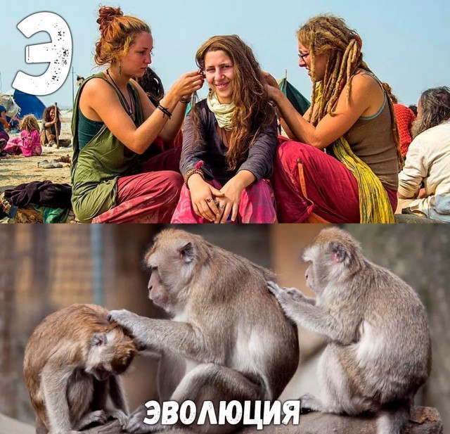 Подборка интересных и веселых картинок