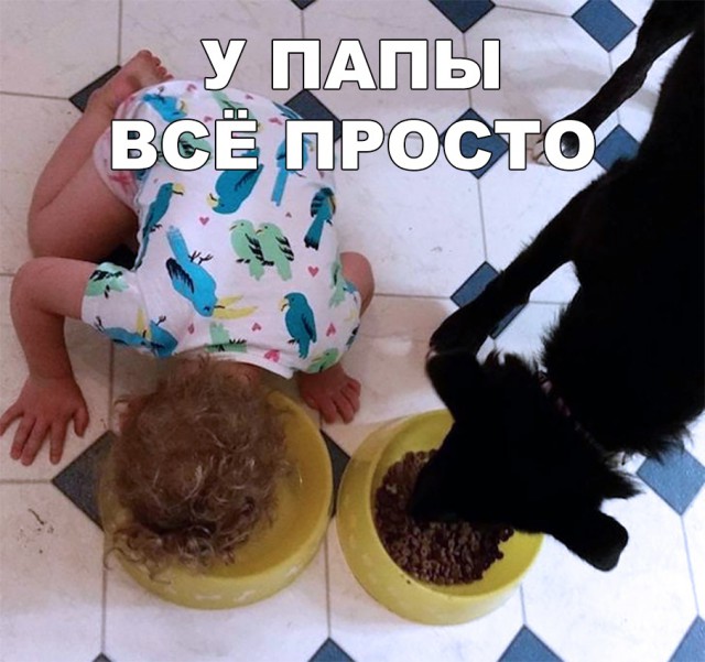 Нестандартный юмор
