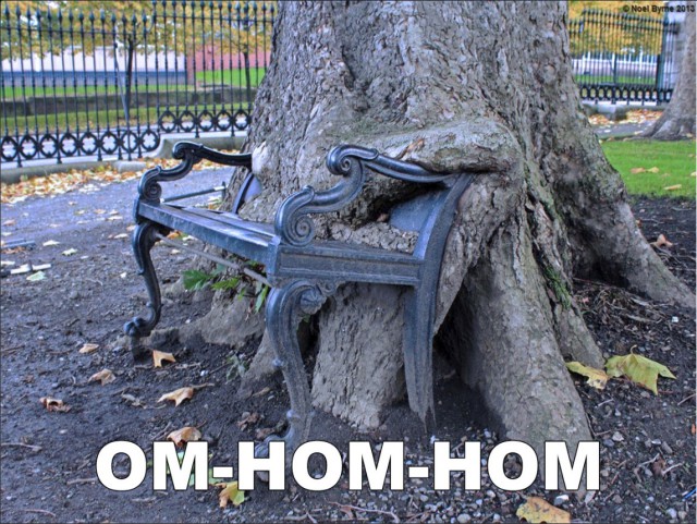 Нестандартный юмор