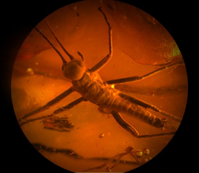 Роботы в реальной жизни. Робокоп фильм 1987 робот. Марс 8 миллионов лет назад. Аксель фильм собака. Робот из сериала затерянные в космосе.