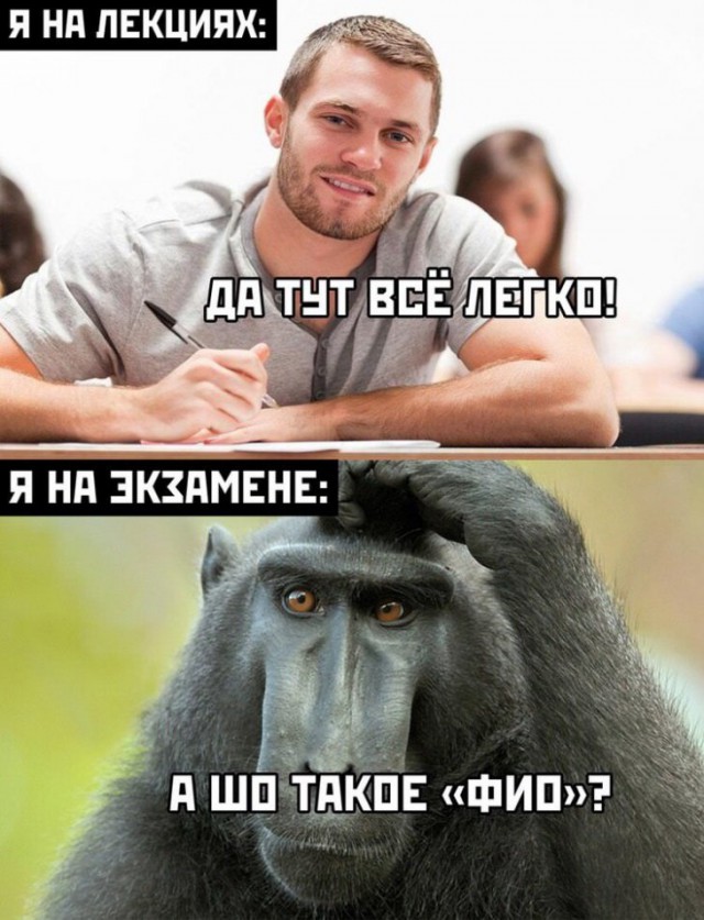 Лучшие мемы 2025 картинки Немного картинок для настроения - ЯПлакалъ