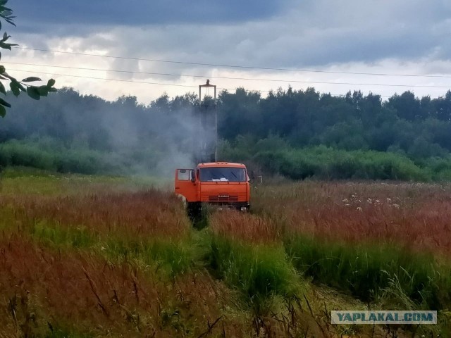 От этого видео у меня на лысине волосы дыбом встали :)