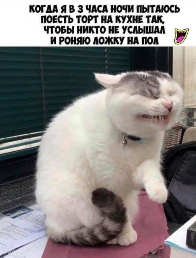 Картинки всякие, 27.08.2020