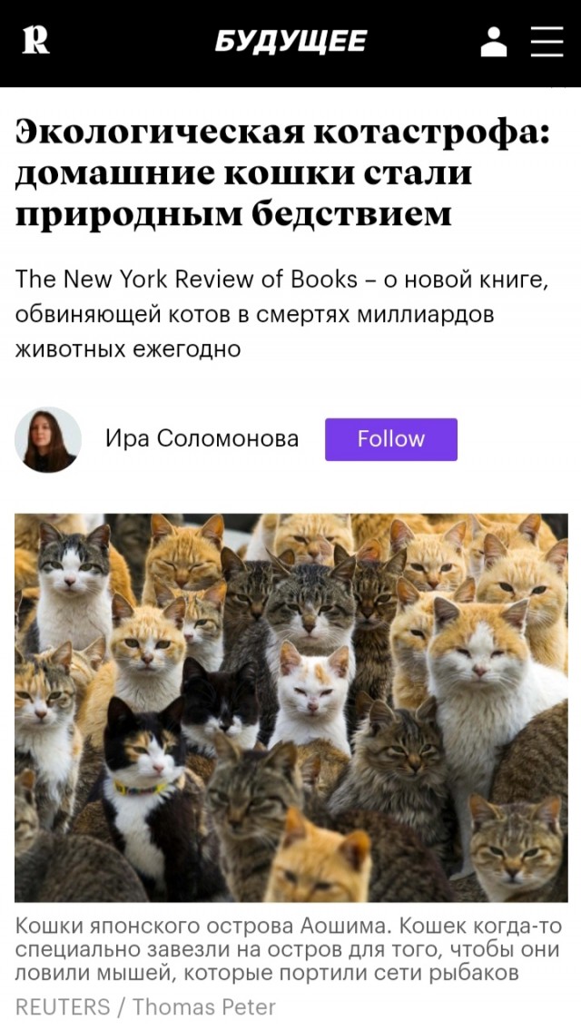 Собачьи стаи в Улан-Удэ
