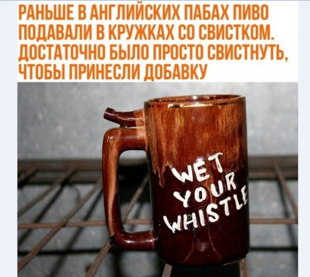 Бредзона 28.01.2021