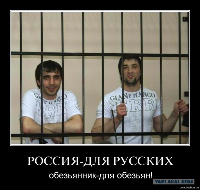 Махачкала в Москве- С. Доренко