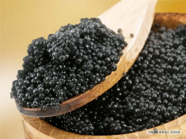 Баклажаны, они же "Синенькие", варианты рецептов