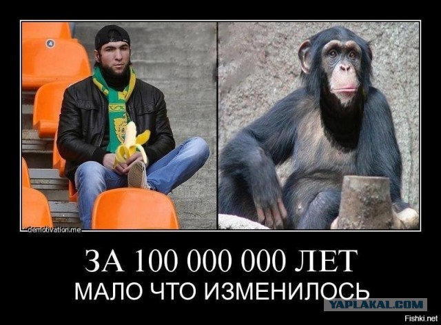 Опять Питер. Опять стрельба.