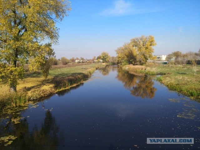 Моя мобильная фотография