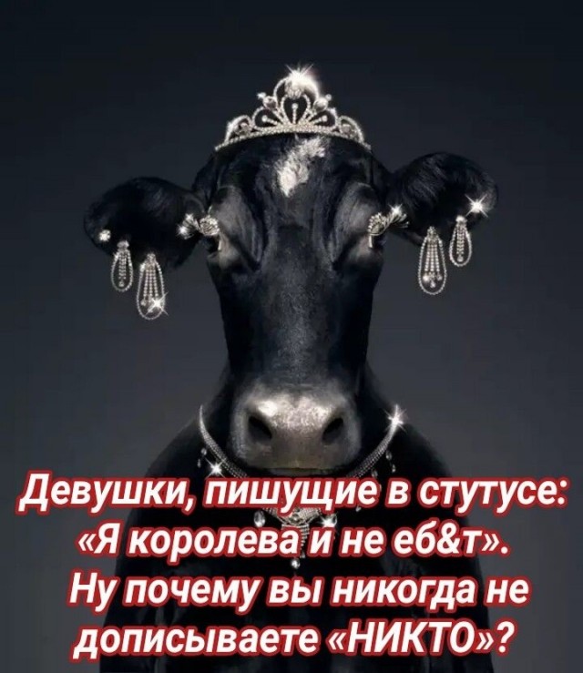 Картинки и мемы для настроения  - 31
