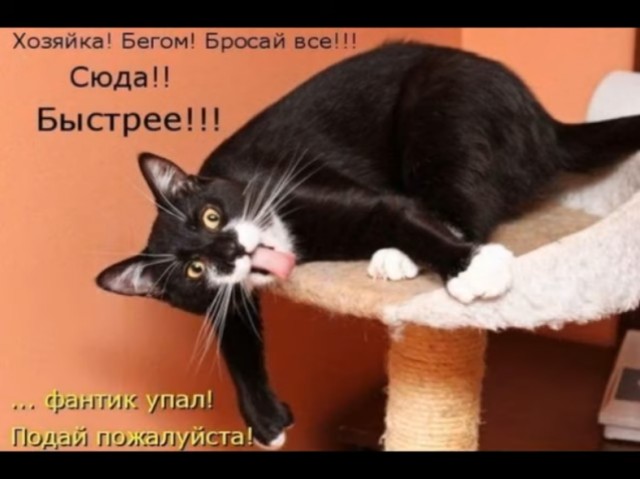 Так себе картинки 27.02.22