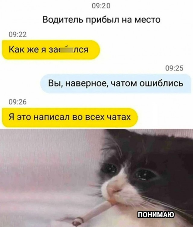 Очередной весёлый полтишок