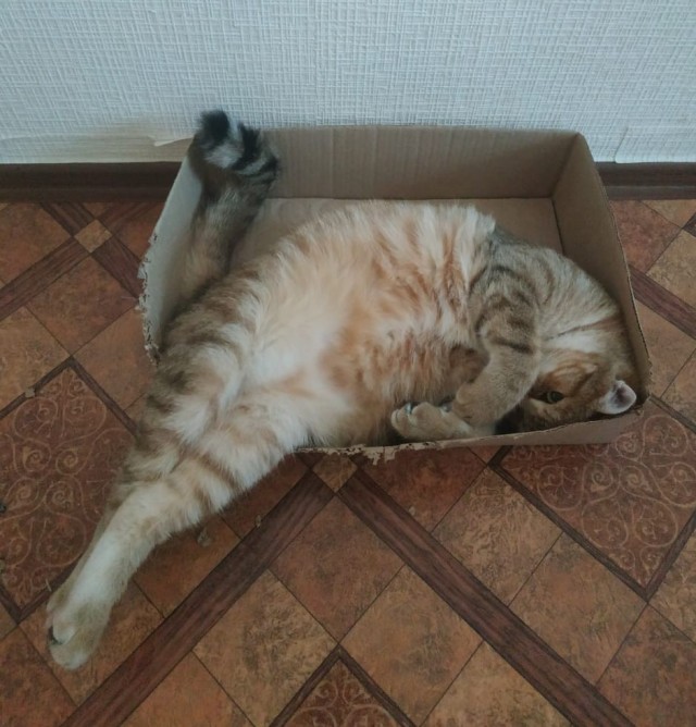 А что, уже вторник?
