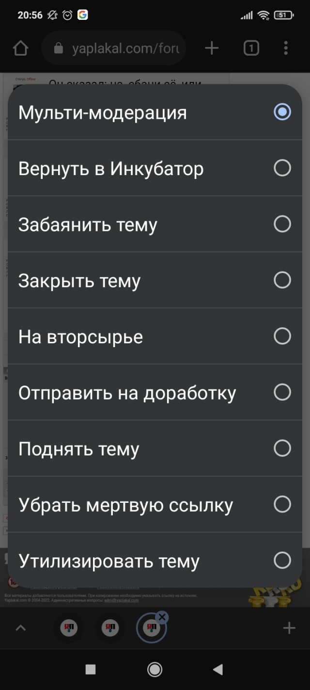 4 года псу под хвост?