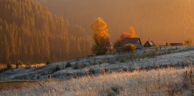 Поздней осенью в деревне