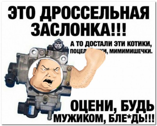 На злобу дня