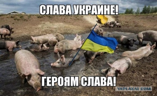 Лавров и Песков прокомментировали «10 пунктов Зеленского»