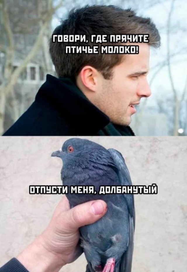 Чёрно-пошлая деградация