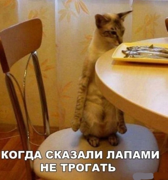 Нуштош 30.04.2023