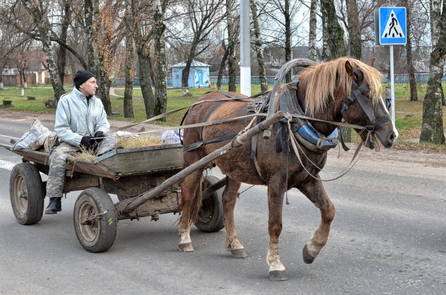 В ДТП с 91-летним водителем под Петербургом погибла молодая мотоциклистка