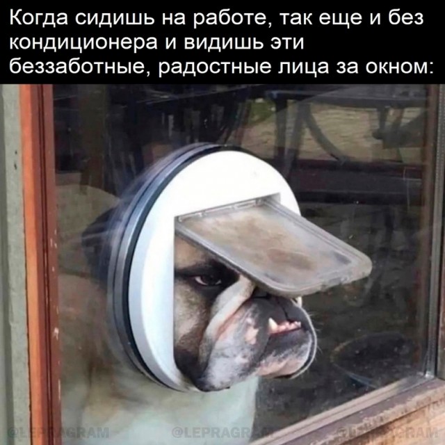 Юмор в картинках и без